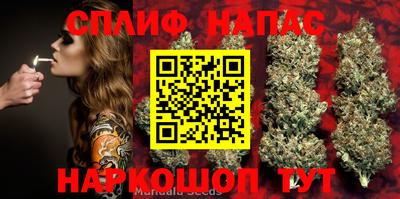 СК Севастополь