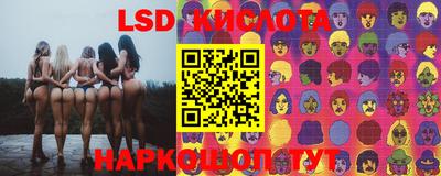 jwh Свободный