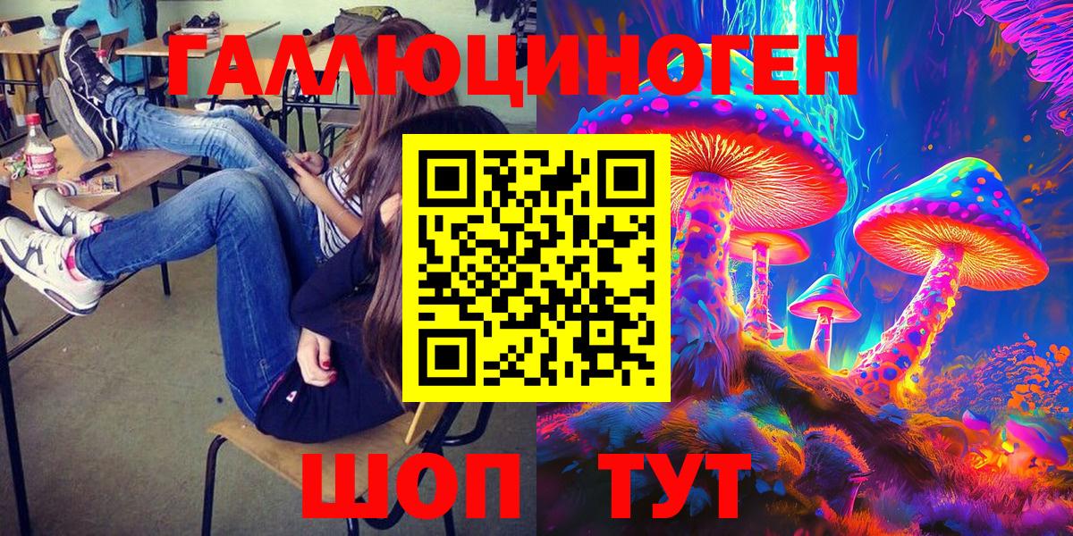 Псилоцибиновые грибы Psilocybe  Вход с VPN  Новосибирск 